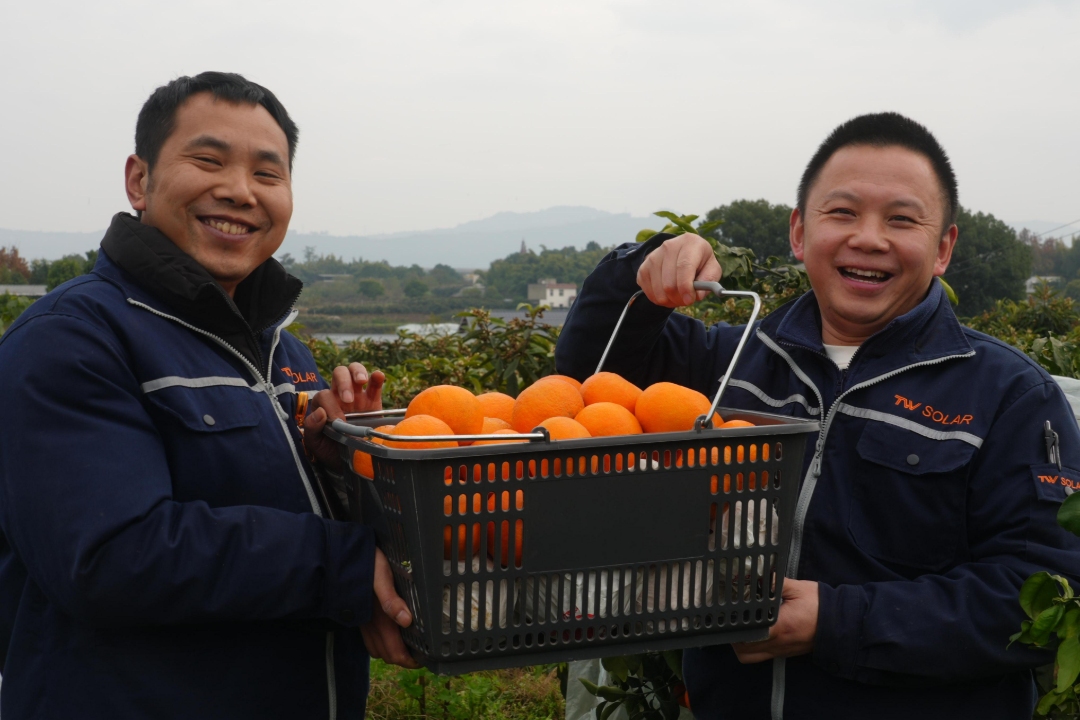 1e3965fcc51867b64f9a43f817eebb55.jpg 1e3965fcc51867b64f9a43f817eebb55.jpg