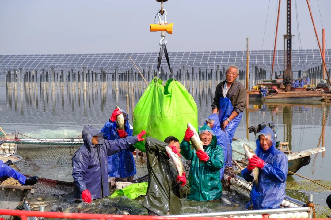 b41b9de4516a39f87fde8a6b24f49725.jpg b41b9de4516a39f87fde8a6b24f49725.jpg