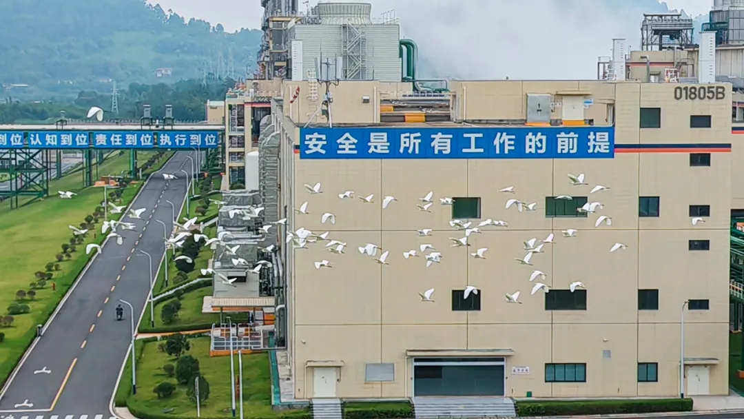 cd5946a8471784edc15155a63393318c.jpg cd5946a8471784edc15155a63393318c.jpg