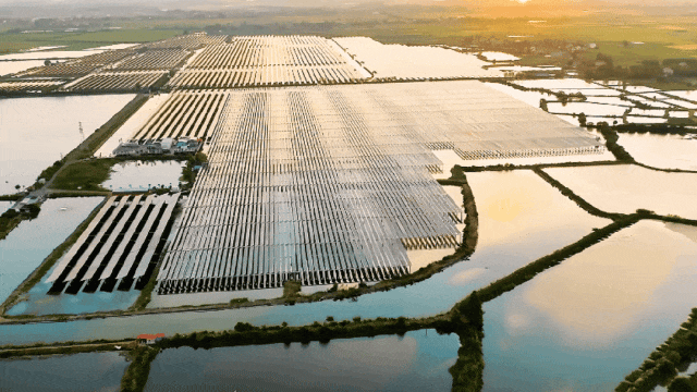 d870252f7185699b20b1e521fc5e0513.gif d870252f7185699b20b1e521fc5e0513.gif