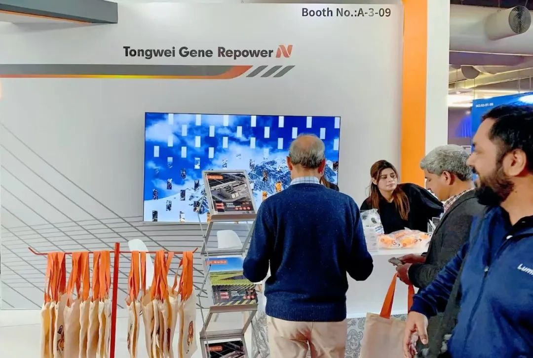 2417ce041a8eb7c3daba1e542198811a.png 2417ce041a8eb7c3daba1e542198811a.png