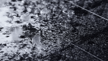 188e0cf2b947ac1e86aabd0d04ff5100.gif 188e0cf2b947ac1e86aabd0d04ff5100.gif