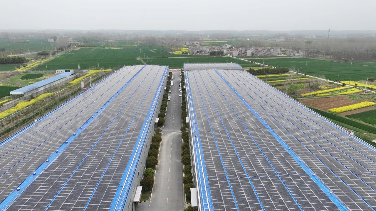 1a87d521257d026872513fe7340be77e.jpg 1a87d521257d026872513fe7340be77e.jpg