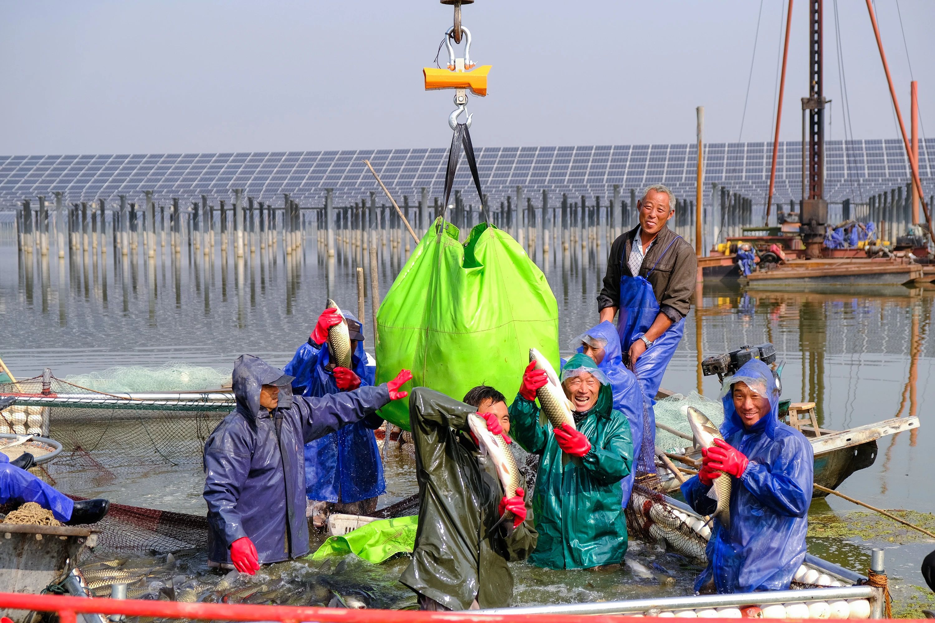 56e3f210e2d042fb7b8cfc0b4de8b9b2.jpg 56e3f210e2d042fb7b8cfc0b4de8b9b2.jpg