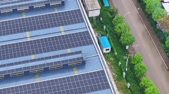 bcae00128385438f62975b361482b9cb.gif bcae00128385438f62975b361482b9cb.gif