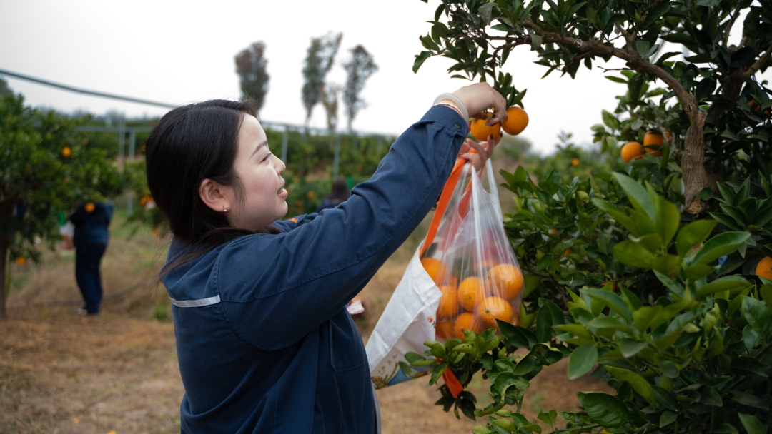 09c92b6c445453ecd96c3a265dd0c991.jpg 09c92b6c445453ecd96c3a265dd0c991.jpg