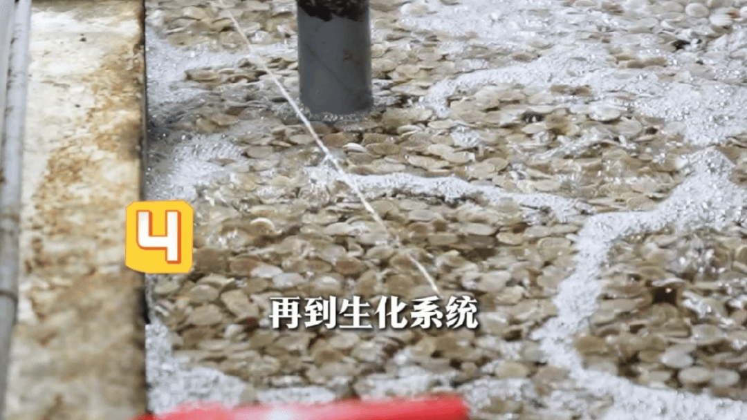 c1c63b12db6b9058f18854da2e25ac06.jpg c1c63b12db6b9058f18854da2e25ac06.jpg