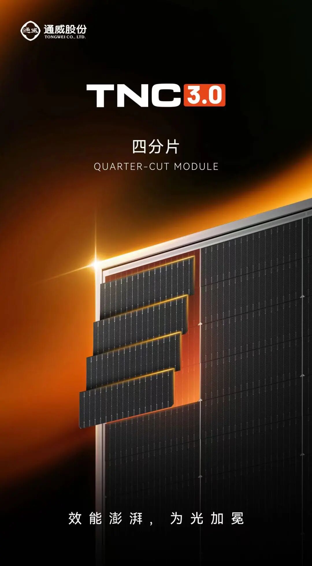 3ae945fb4a110442f6a96d443648468f.jpg 3ae945fb4a110442f6a96d443648468f.jpg