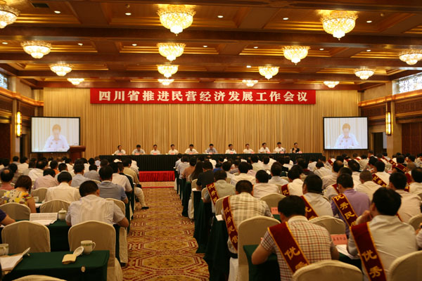 四川省推進民營經濟發展工作會議現場